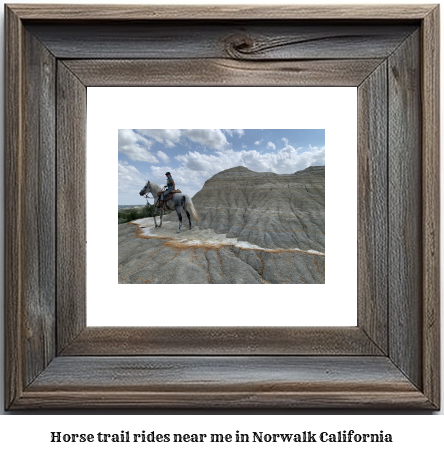 horse trail rides near me in Norwalk, California